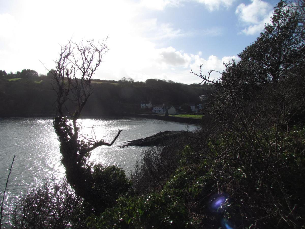 Ty Nain, Newport, Pembrokeshire Vila Newport  Exterior foto